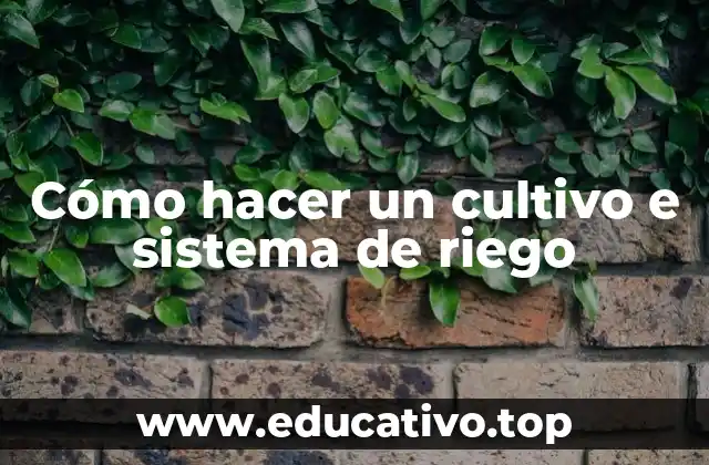 Cómo hacer un cultivo e sistema de riego