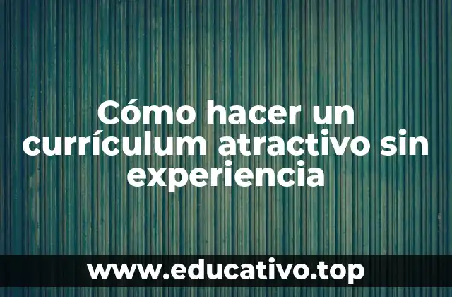 Cómo hacer un currículum atractivo sin experiencia