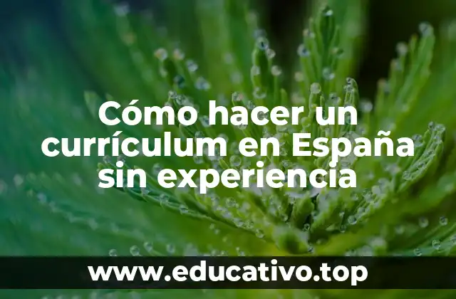 Cómo hacer un currículum en España sin experiencia