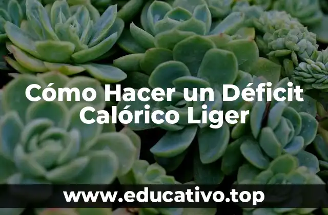 Cómo Hacer un Déficit Calórico Liger