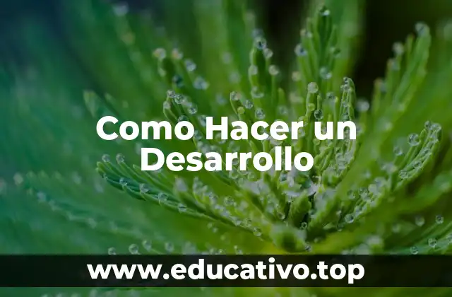 Como Hacer un Desarrollo