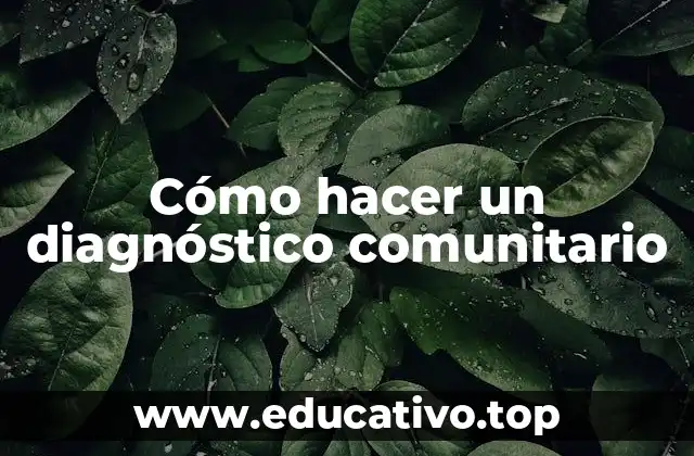 Cómo hacer un diagnóstico comunitario