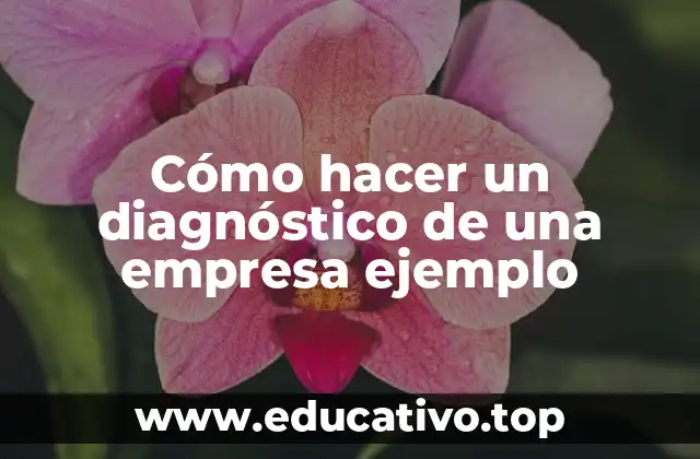 Cómo hacer un diagnóstico de una empresa ejemplo