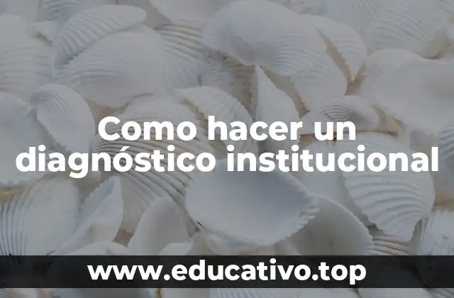 Como hacer un diagnóstico institucional