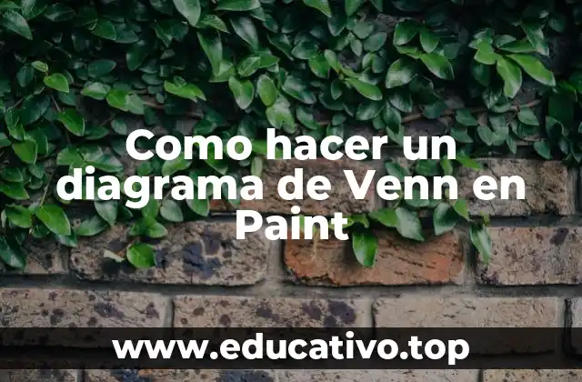Como hacer un diagrama de Venn en Paint