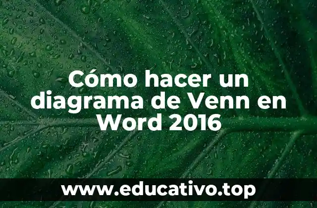 Cómo hacer un diagrama de Venn en Word 2016