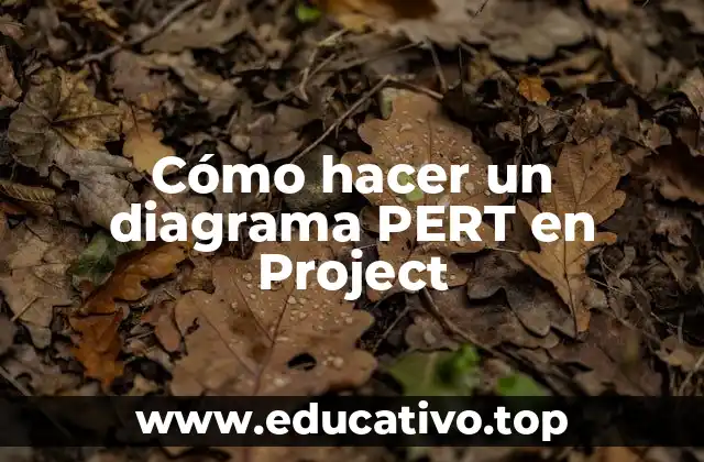 Cómo hacer un diagrama PERT en Project