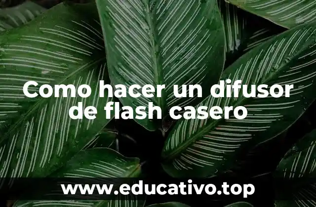 Como hacer un difusor de flash casero