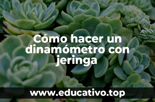 Cómo hacer un dinamómetro con jeringa