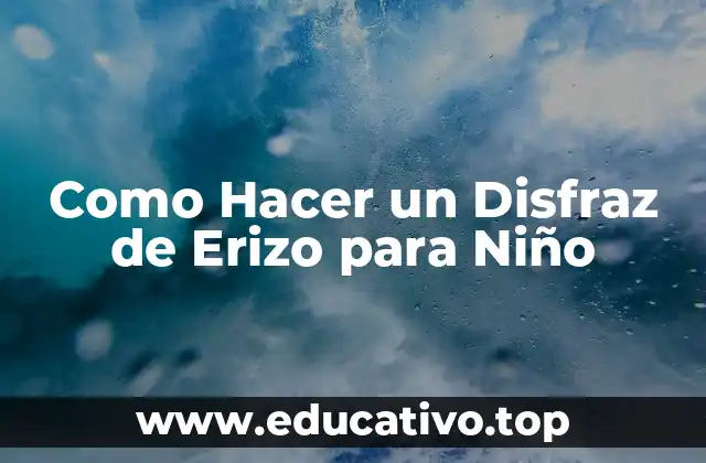 Como Hacer un Disfraz de Erizo para Niño