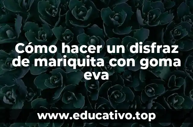 Cómo hacer un disfraz de mariquita con goma eva