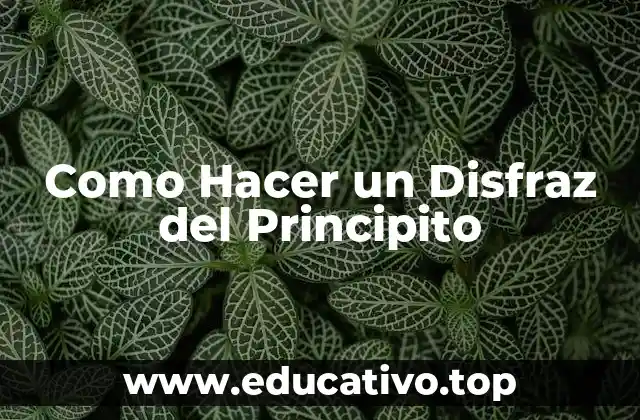 Como Hacer un Disfraz del Principito
