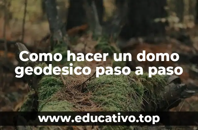 Como hacer un domo geodesico paso a paso