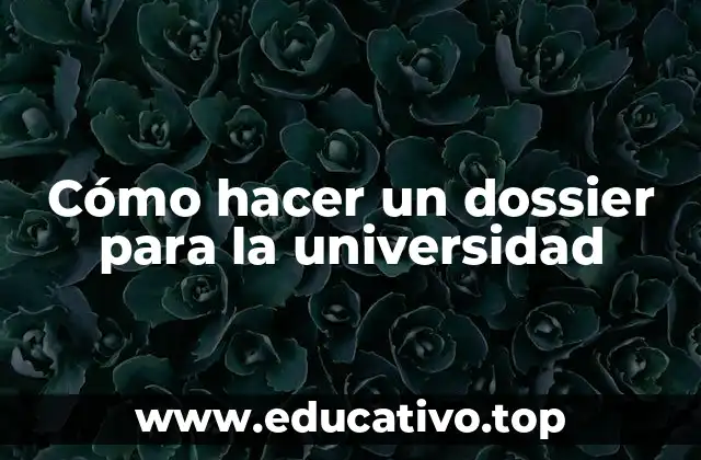 Cómo hacer un dossier para la universidad