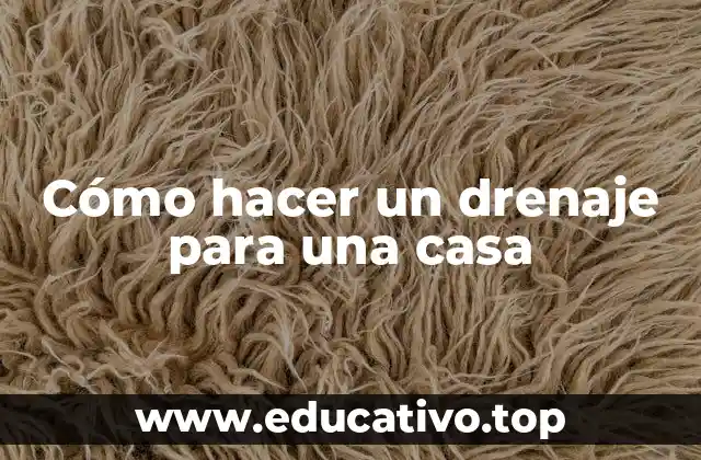 Cómo hacer un drenaje para una casa