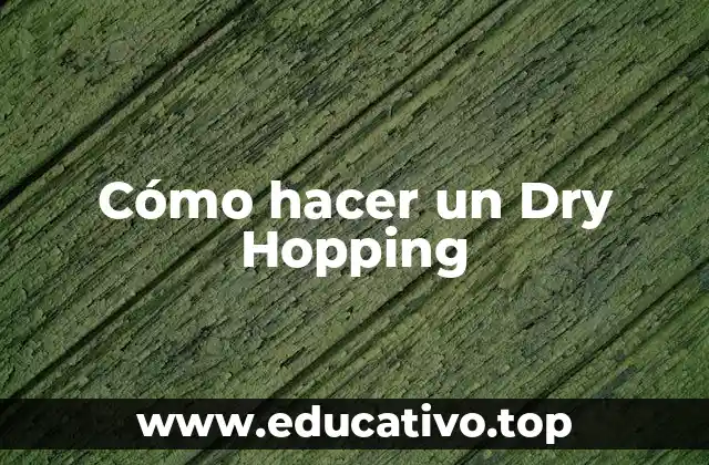Cómo hacer un Dry Hopping