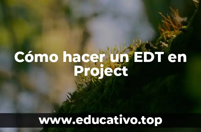 Cómo hacer un EDT en Project