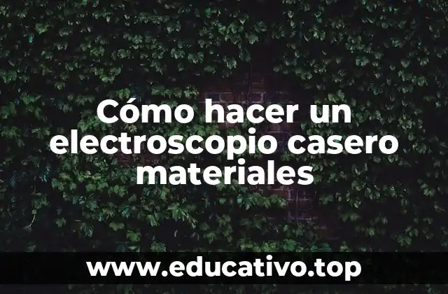 Cómo hacer un electroscopio casero materiales