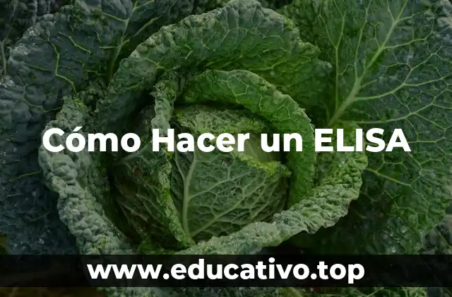 Cómo Hacer un ELISA