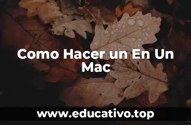 Como Hacer un En Un Mac