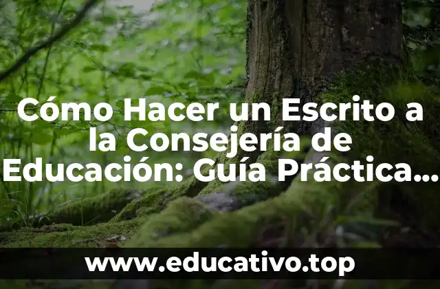 Cómo Hacer un Escrito a la Consejería de Educación: Guía Práctica y Detallada