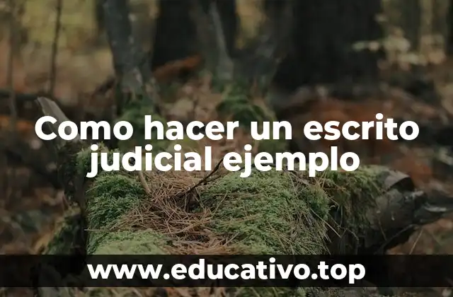Como hacer un escrito judicial ejemplo