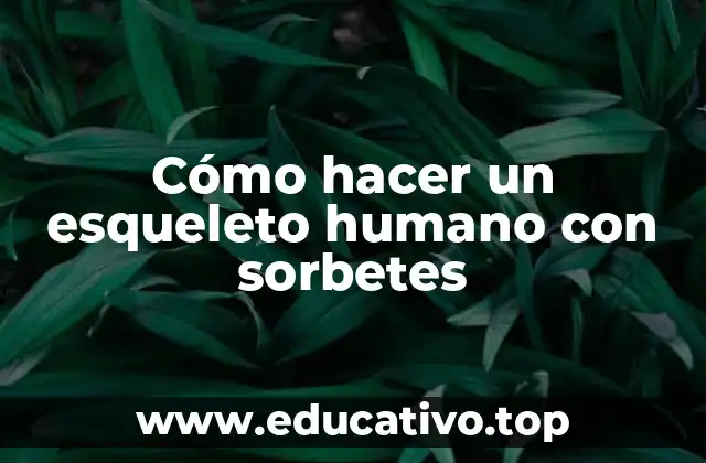 Cómo hacer un esqueleto humano con sorbetes