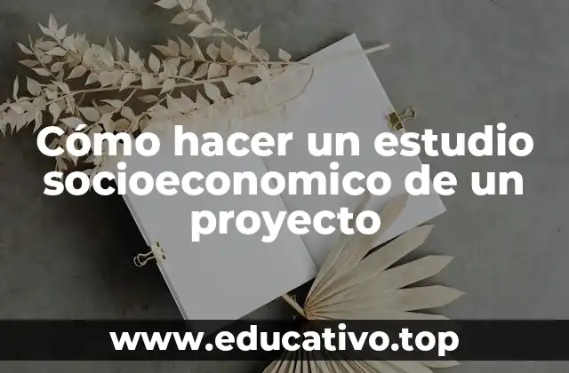 Cómo hacer un estudio socioeconomico de un proyecto