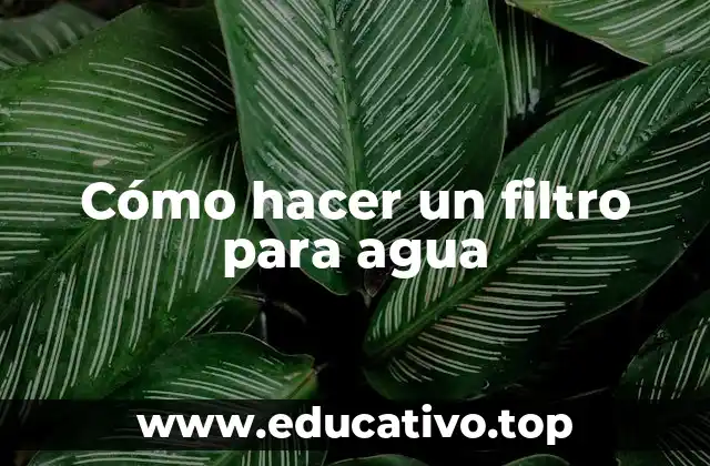 Cómo hacer un filtro para agua