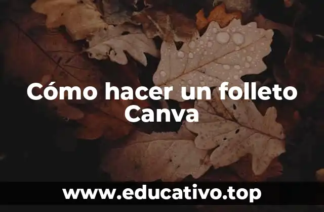 Cómo hacer un folleto Canva
