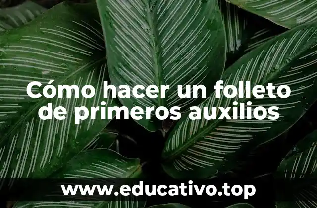 Cómo hacer un folleto de primeros auxilios
