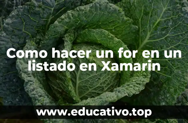 Como hacer un for en un listado en Xamarin