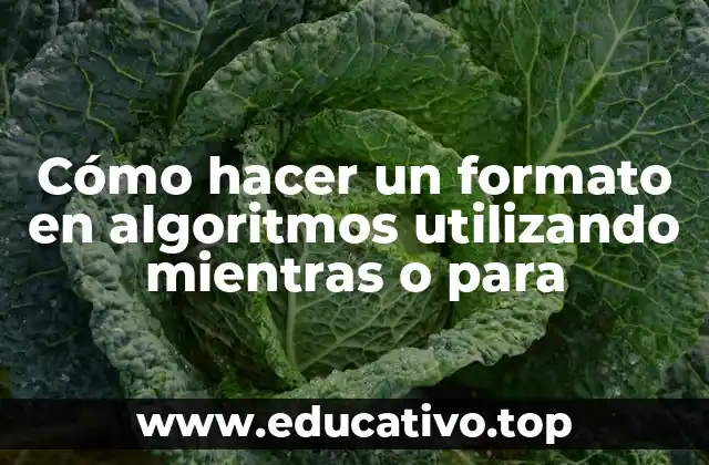 Cómo hacer un formato en algoritmos utilizando mientras o para