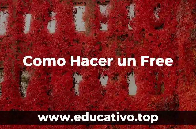 Como Hacer un Free