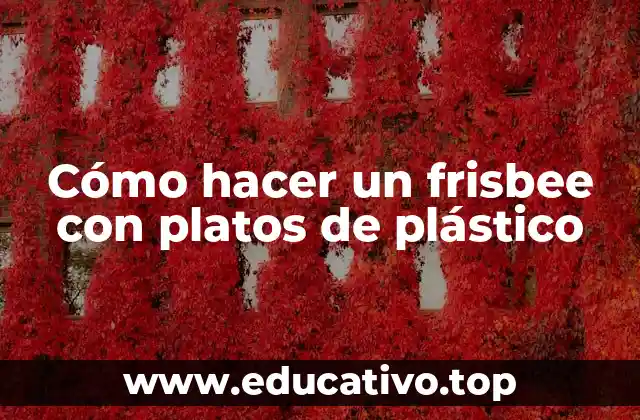 Cómo hacer un frisbee con platos de plástico