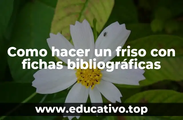 Como hacer un friso con fichas bibliográficas