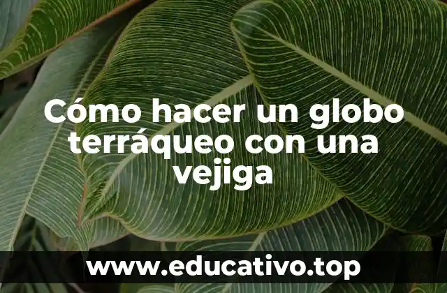 Cómo hacer un globo terráqueo con una vejiga