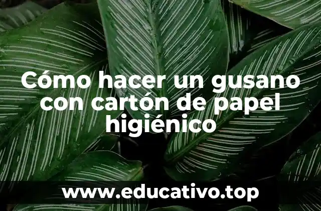 Cómo hacer un gusano con cartón de papel higiénico