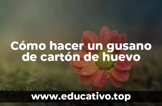 Cómo hacer un gusano de cartón de huevo