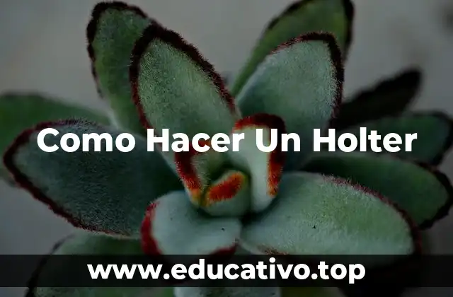 Como Hacer Un Holter