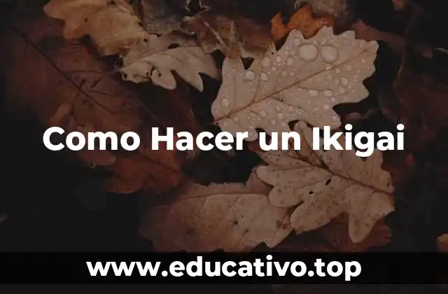 ¿Qué es un Ikigai?