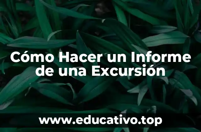 Cómo Hacer un Informe de una Excursión