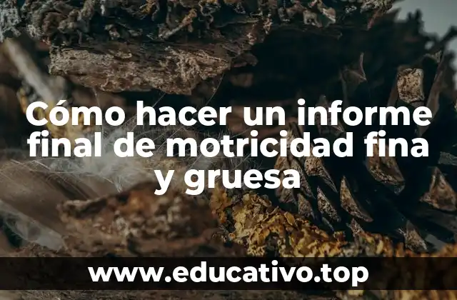 Cómo hacer un informe final de motricidad fina y gruesa