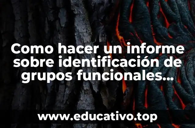 Como hacer un informe sobre identificación de grupos funcionales orgánicos