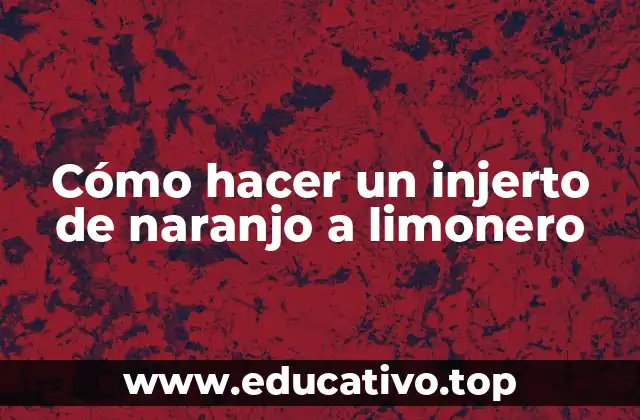 Cómo hacer un injerto de naranjo a limonero