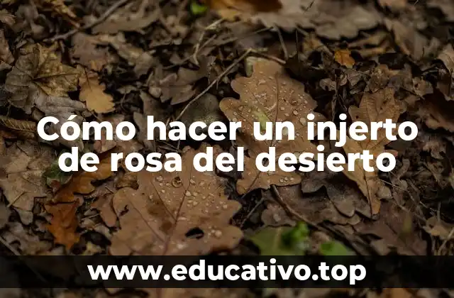 Cómo hacer un injerto de rosa del desierto
