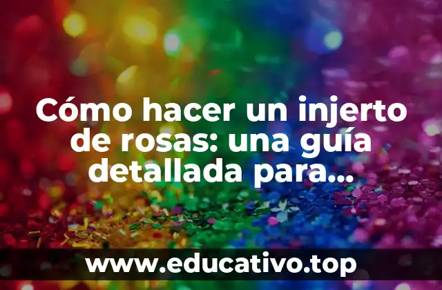 Cómo hacer un injerto de rosas: una guía detallada para jardineros principiantes