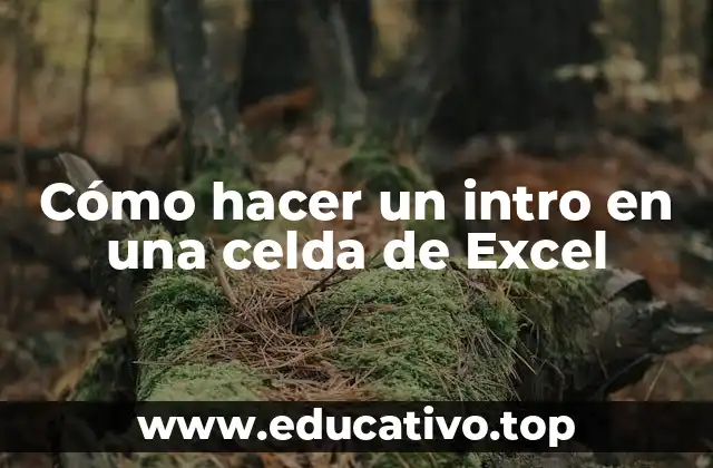 Cómo hacer un intro en una celda de Excel