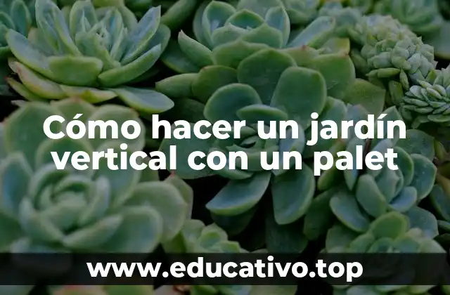 Cómo hacer un jardín vertical con un palet