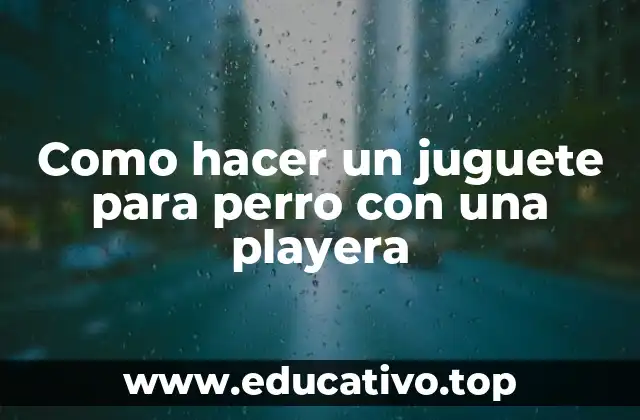 Como hacer un juguete para perro con una playera